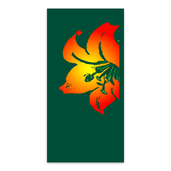 Single Vibrant Flower