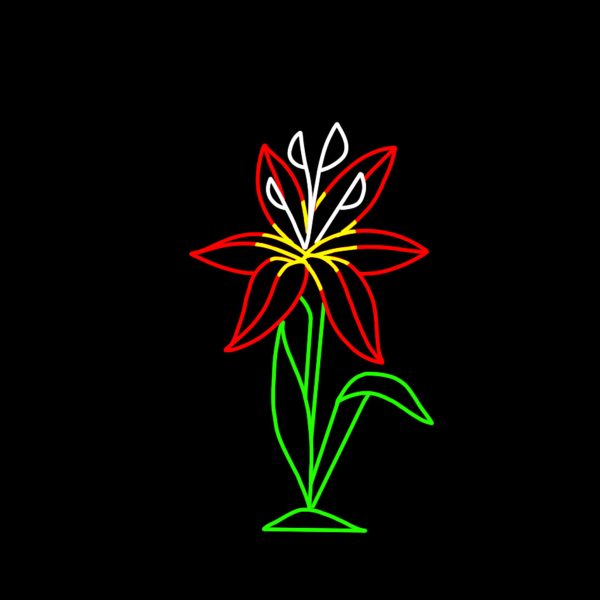 RED LILY