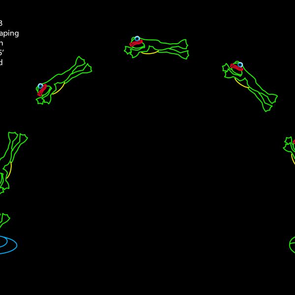 DRIVE-THRU LEAPING FROG ARCH (animated)