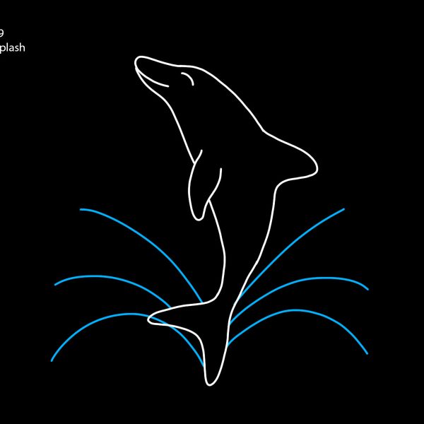 DOLPHIN W/ SPLASH