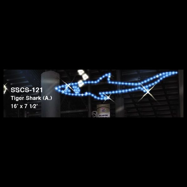 TIGER SHARK (animated)