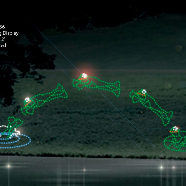 LEAPING FROG DISPLAY (animated)