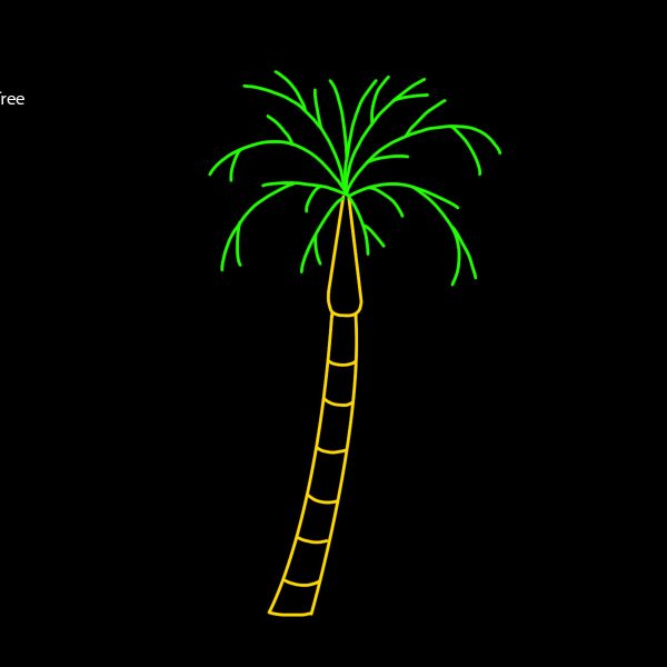LARGE PALM TREE
