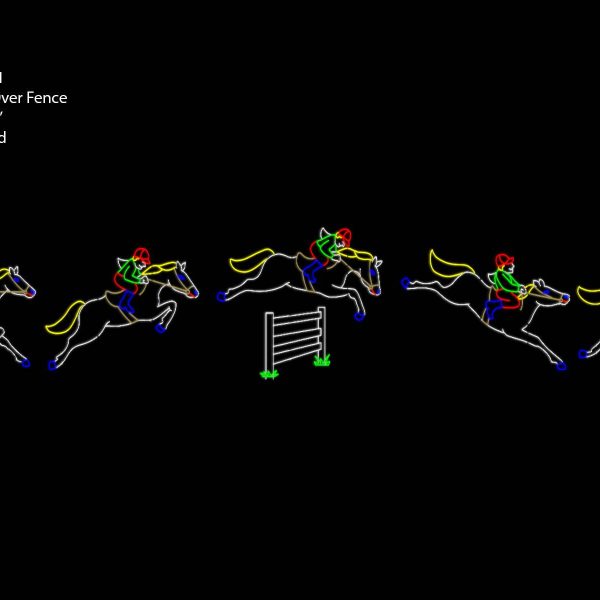 HORSE JUMPING OVER FENCE (animated)