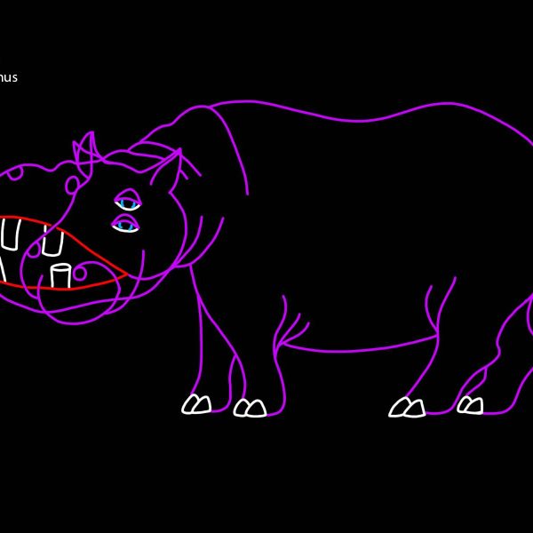 HIPPOPOTAMUS (animated)