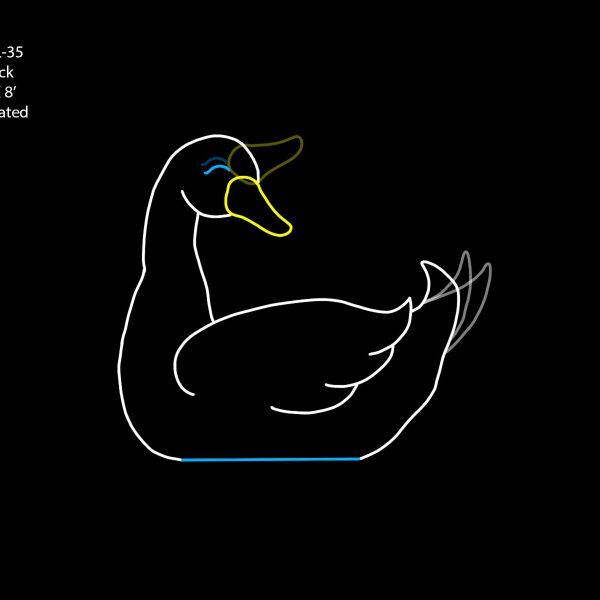 DUCK (TAIL AND HEAD - A)