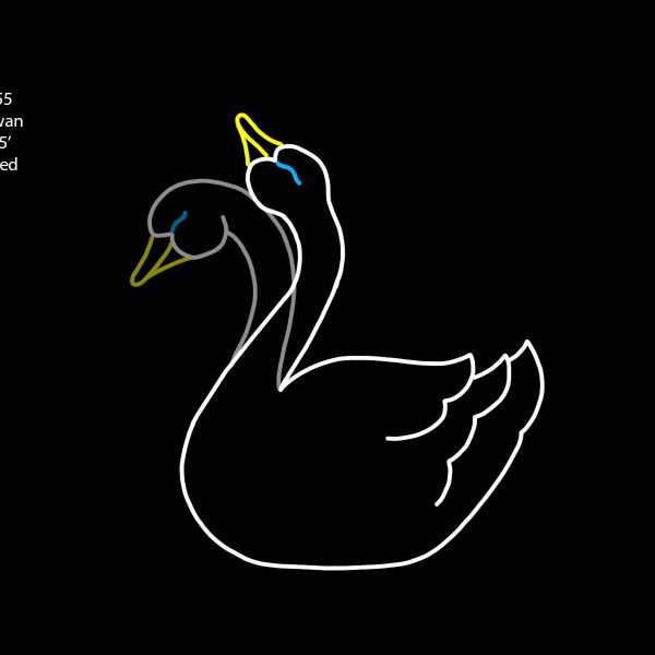 BABY SWAN (animated)