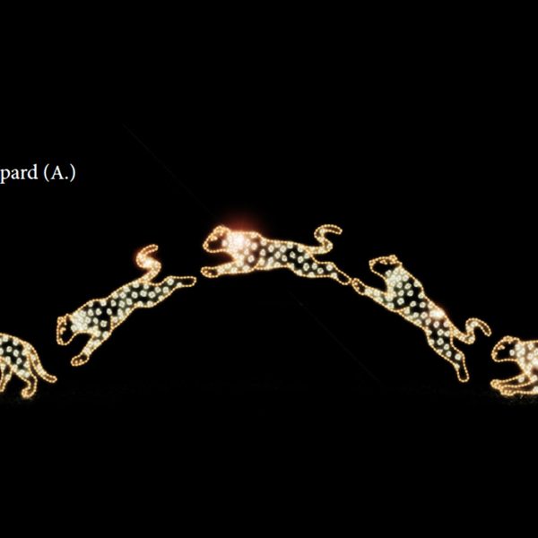 STALKING LEOPARD (animated) - 5 LEOPARDS TOTAL