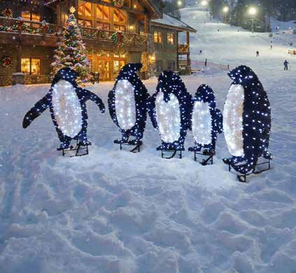 3D Penguins