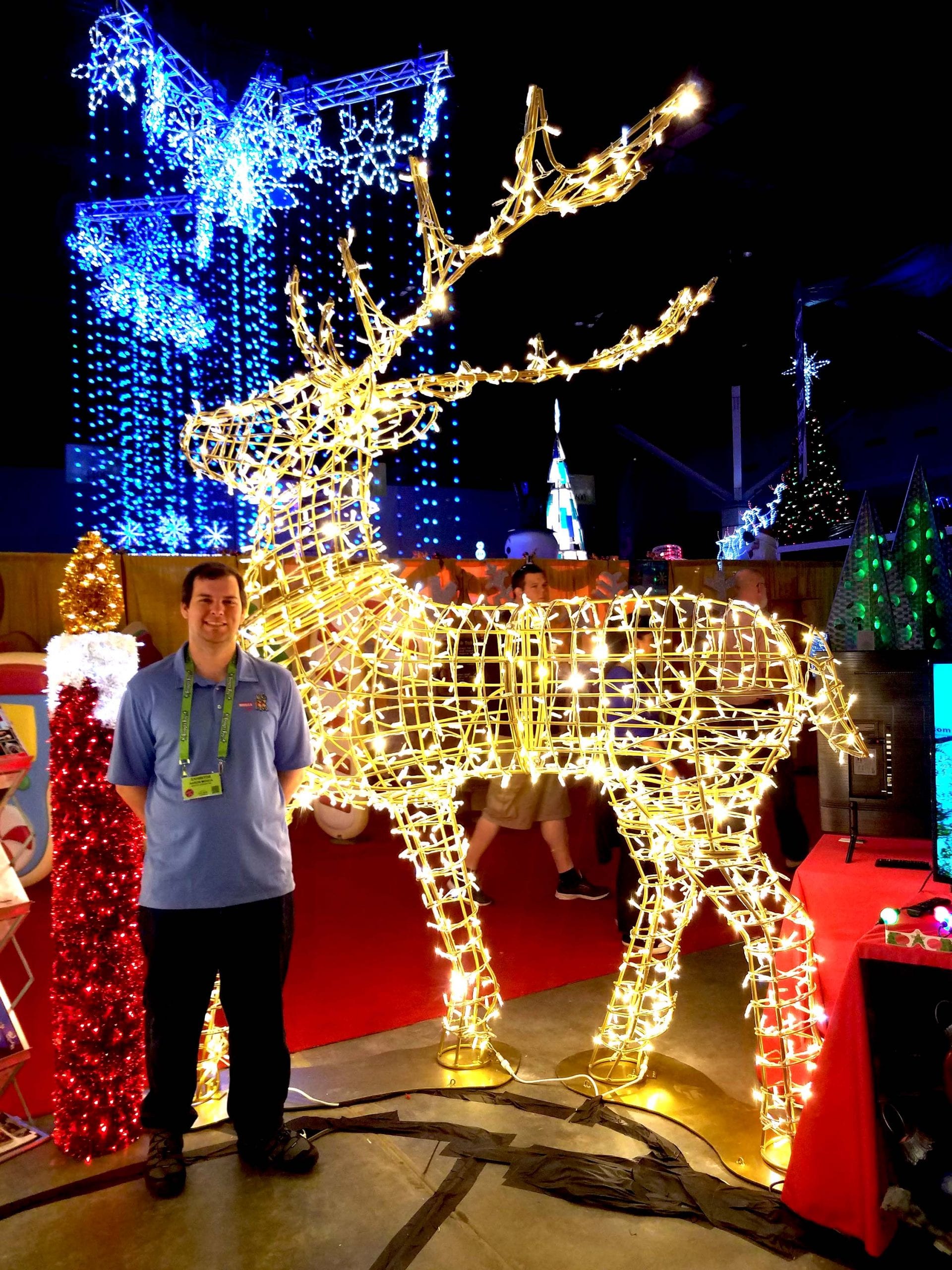 Majestic Stag 3D - Image 3