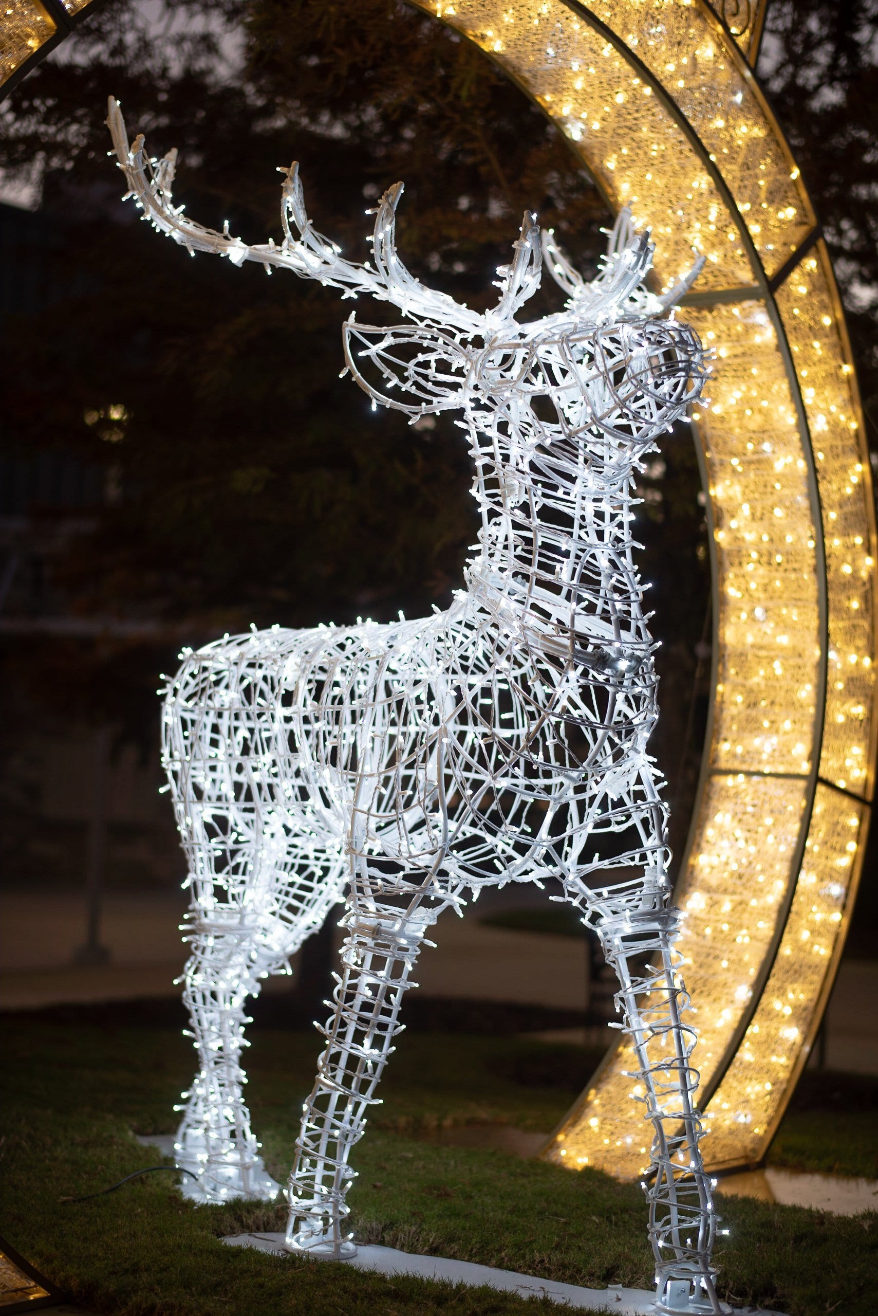 Majestic Stag 3D - Image 2