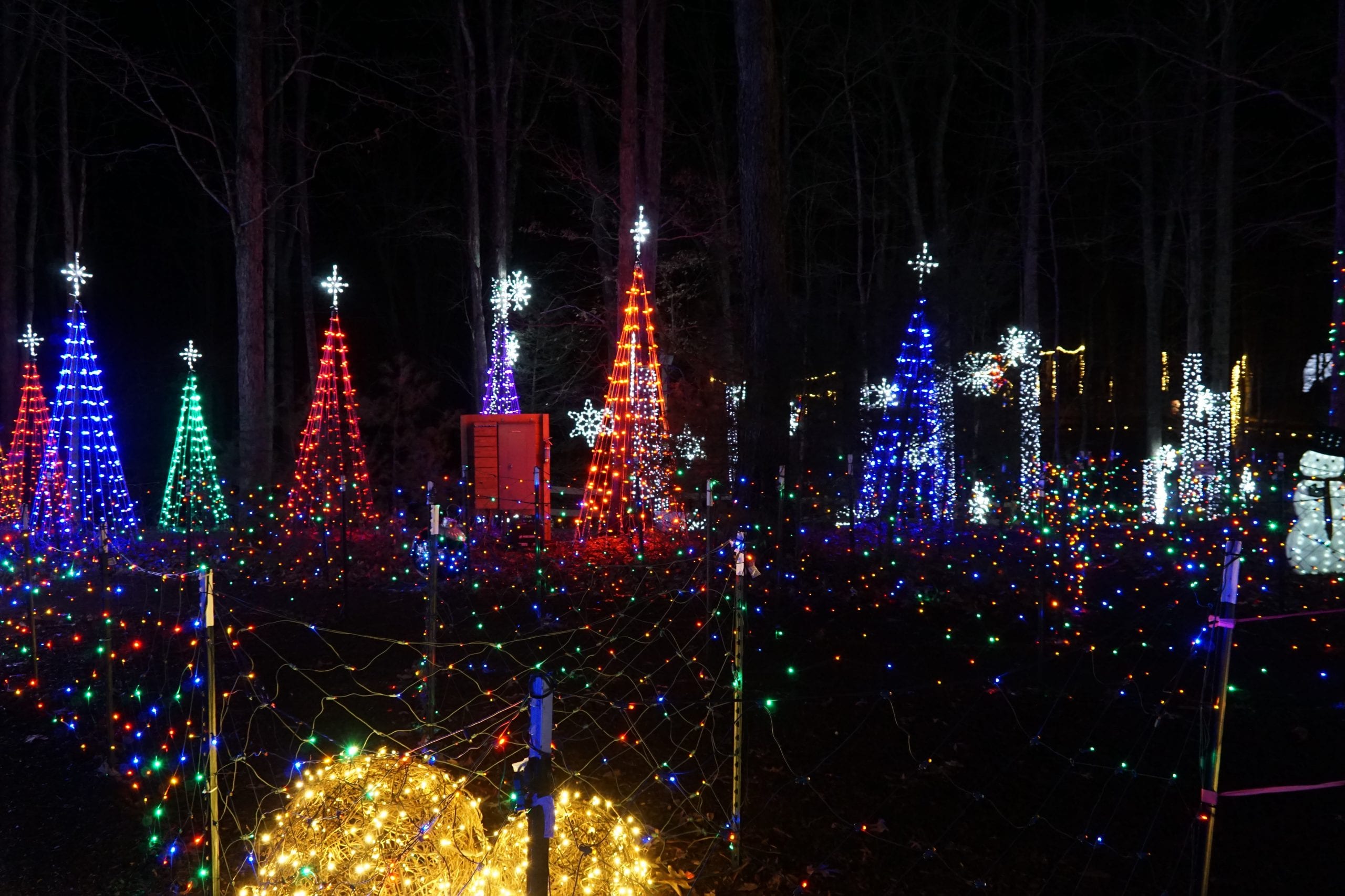 Tree of Lights - Image 2