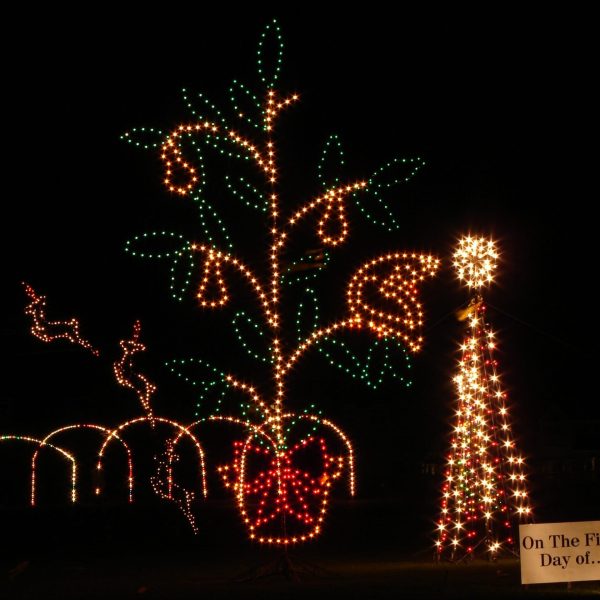 Partridge in a Pear Tree