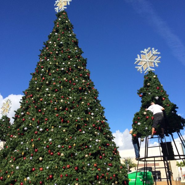 Extended Branch Panel Tree