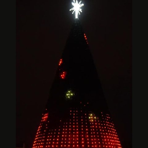 RGB Panel Trees - Commercial Holiday Decorations & Seasonal Banners