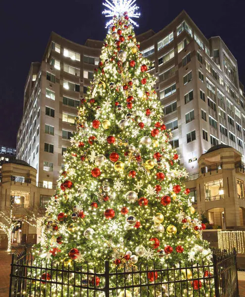 Sequoia Tree - Coupling 5mm WA,  Warm White, Pre-lit Tower - Instant Shape