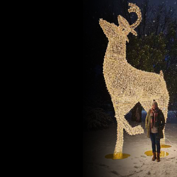 Giant Deer - Image 2