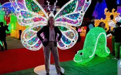 Holiday Lighting Displays: How to Plan a Spectacular Commercial Light Show