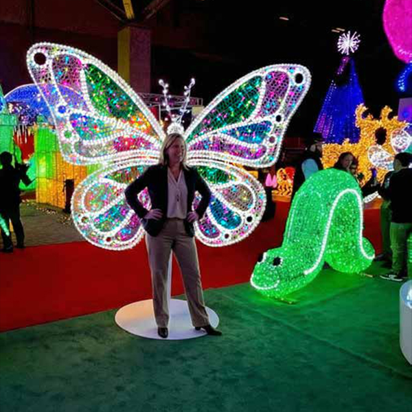 RGB Butterfly with Stand