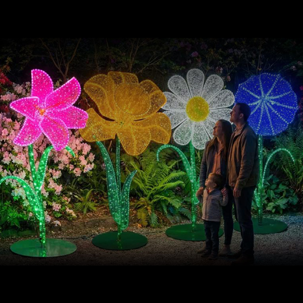 Lily Flower - Image 2