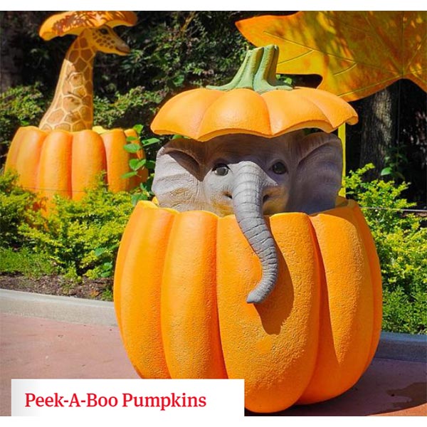 Peek A Boo Pumpkins