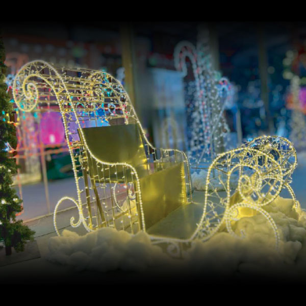 3D Sleigh