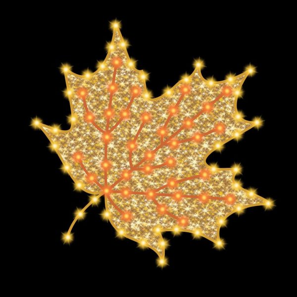 Maple Leaf (Self Standing 5' x 5')