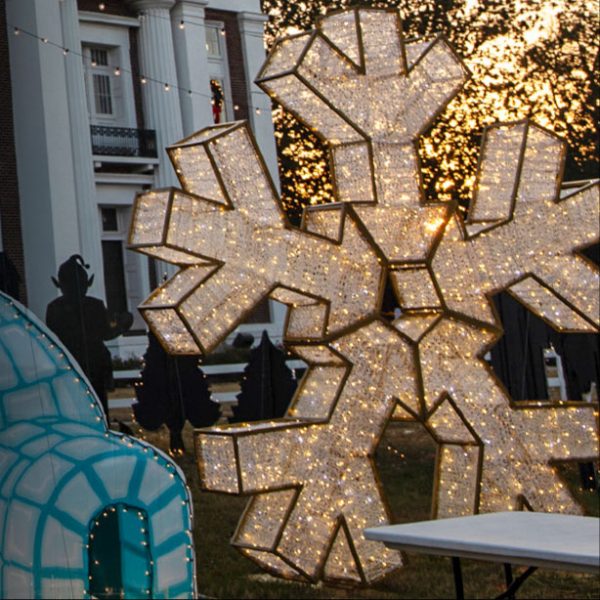 Illuminated Photo Op Snowflake
