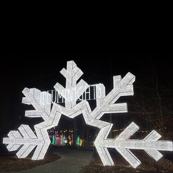 20' Tall Snowflake Arch
