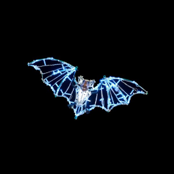 Bat 1 - Turqouise - Hanging