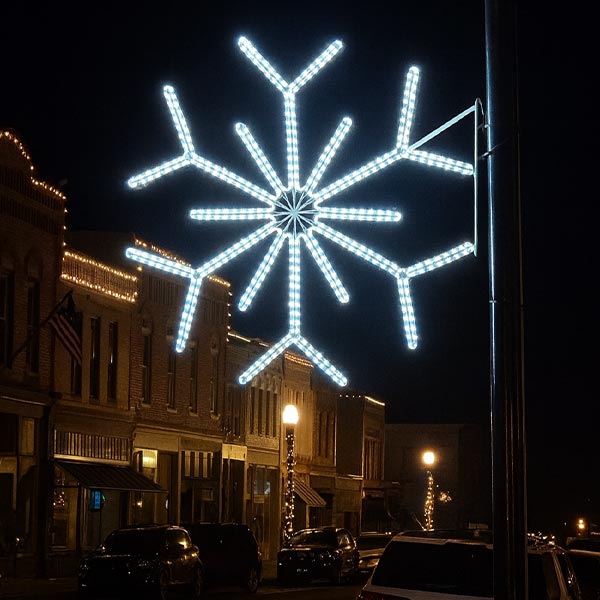 Icy Branch Snowflake