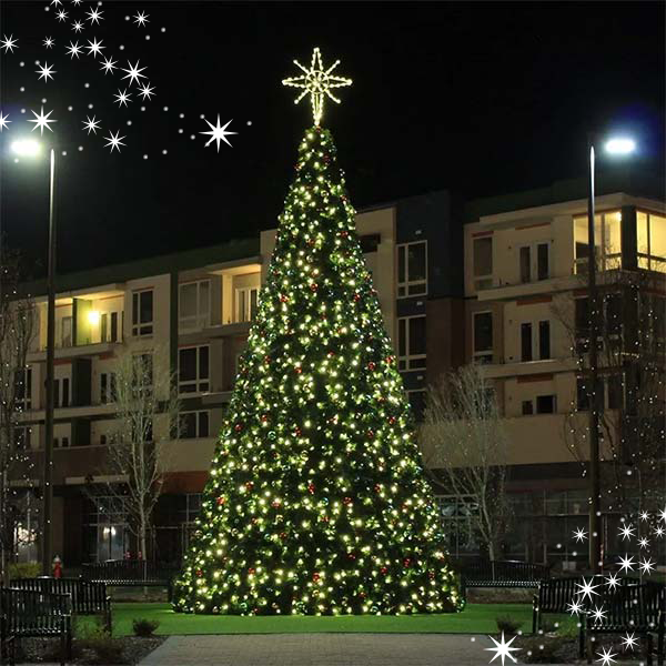 Commercial Tree Sizing Guide: How to Choose the Right Tree Height for Your Space