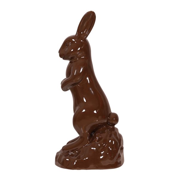 Chocolate Bunny Standing