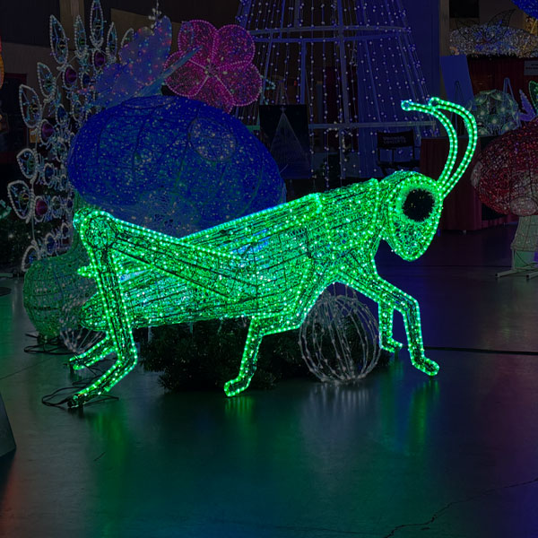Grasshopper