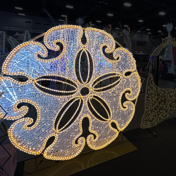Sand Dollar Photo Op