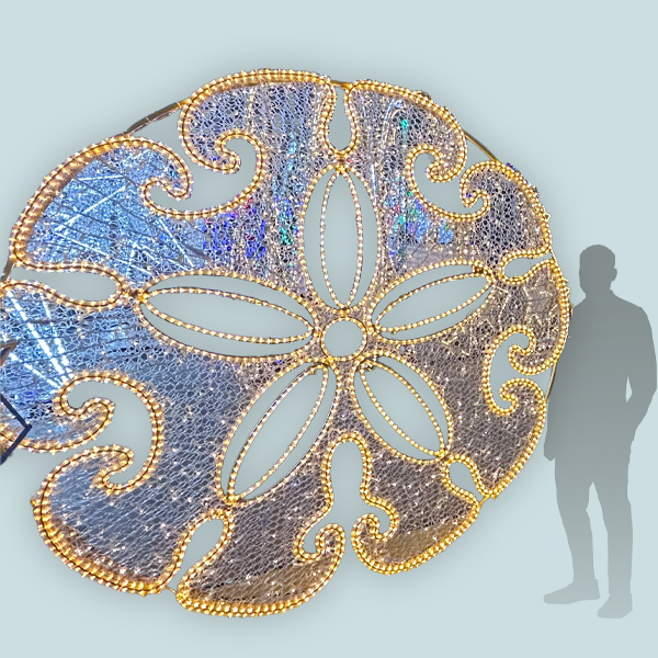 Sand Dollar Photo Op