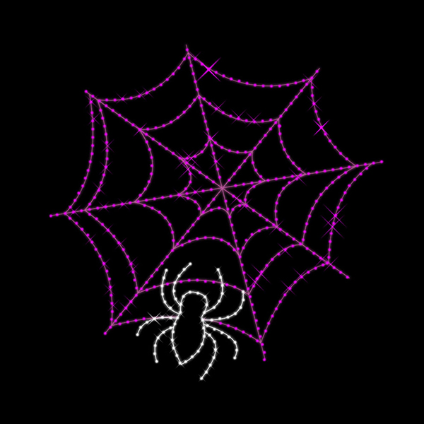 Spider Web w/ Spider