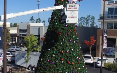 Commercial vs. Residential Decor: Why Your Business Needs Professional-Grade Displays