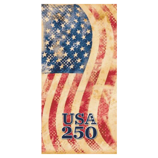 USA 250 Vintage Flag