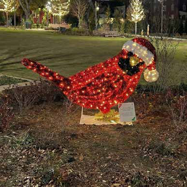 Cardinal with Santa Hat