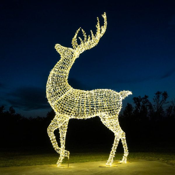 24' Reindeer